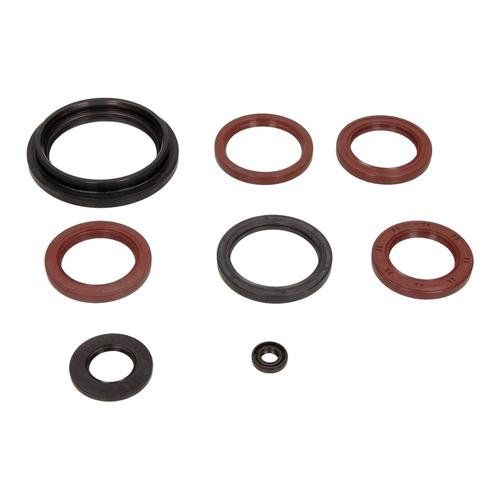 Centauro Gufera motoru sada Burgman 650 03-16