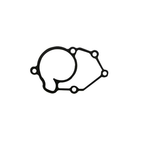 Centauro Těsnění vodní pumpy Xcity / X-Max