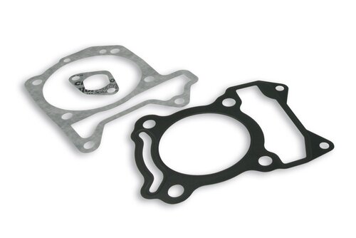 Malossi Sada těsnění válce Malossi