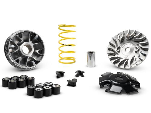 Malossi Variátor Multivar Yamaha RayZR 125