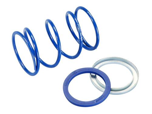 Polini Kontrastní pružina Polini Evo Piaggio -- +28%