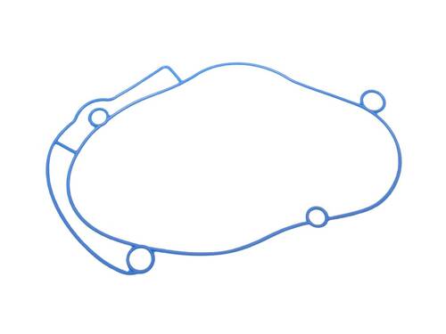 Polini Těsnění krytu převodů Polini Evolution