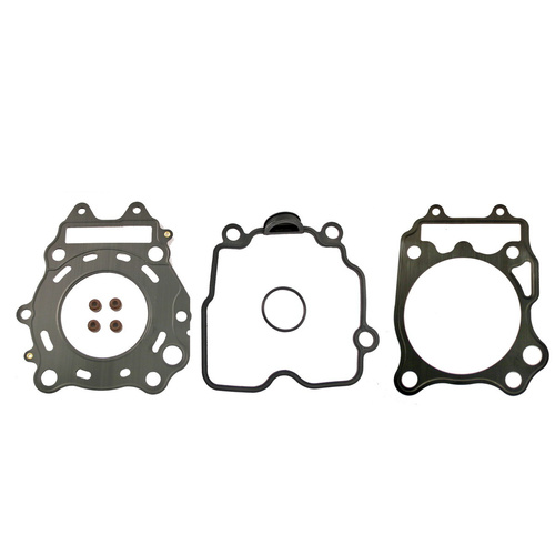 RMS Sada těsnění Burgman 250 od 03