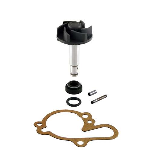 RMS Vodní pumpa AM6