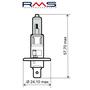 RMS Žárovka 12V 55W H1